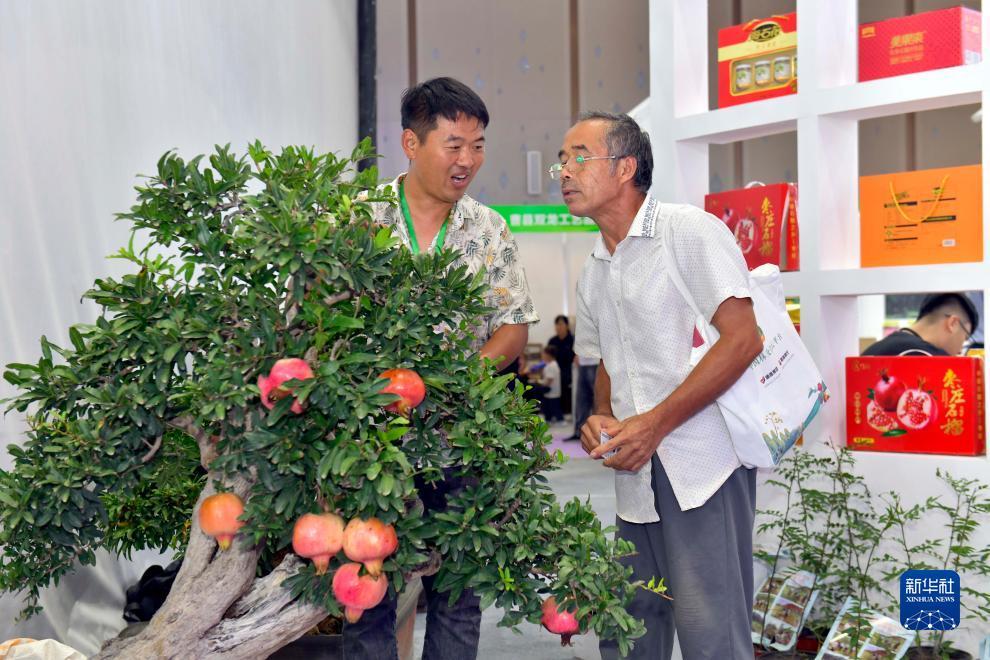 大宝官方网站